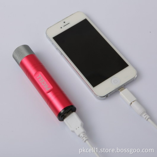Portable Power Bank with 3000mAh Capacity for Mobile Phone, MP3, MP4, Digital Camera, iPad and iPhone (PK-9301)
